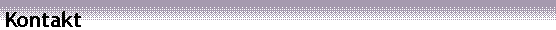 Textov pole: Kontakt